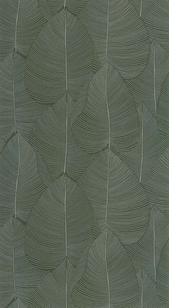 Caselio Light LIG106597070