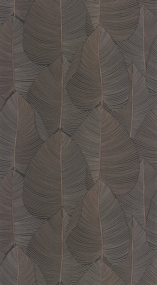 Caselio Light LIG106599105