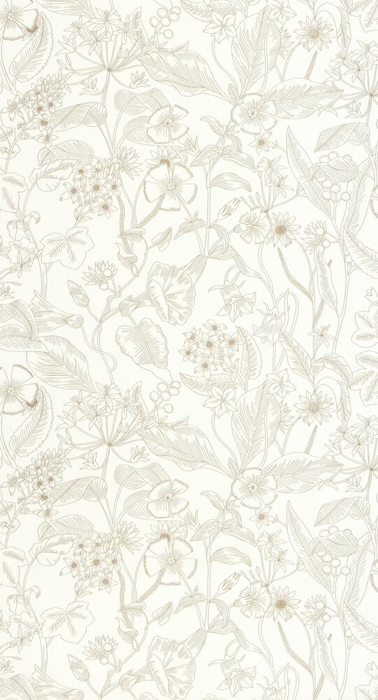 Caselio Light LIG106600026