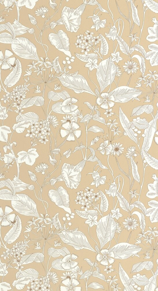 Caselio Light LIG106601010