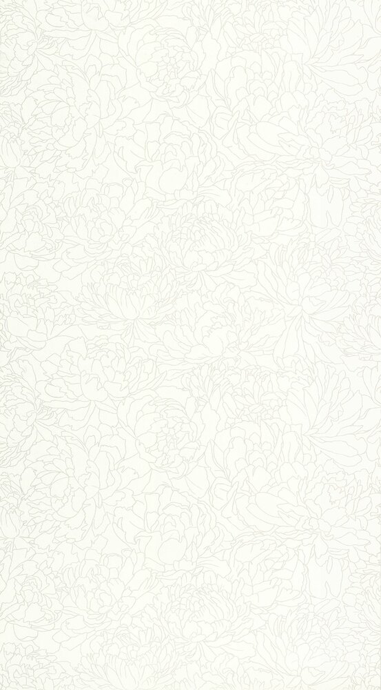 Caselio Light LIG106610017