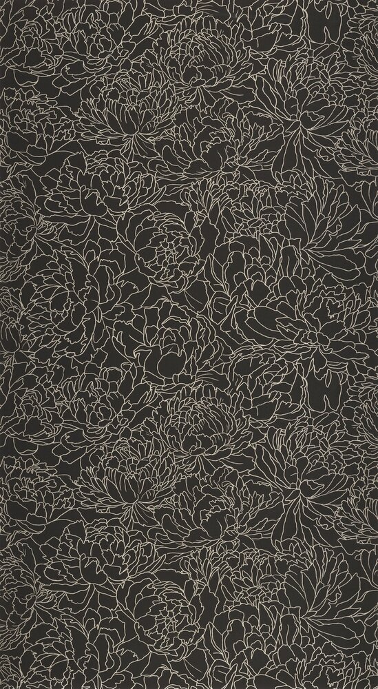 Caselio Light LIG106619021