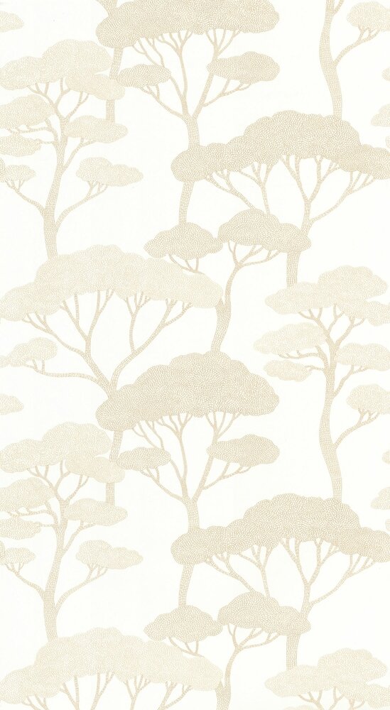 Caselio Light LIG106620000