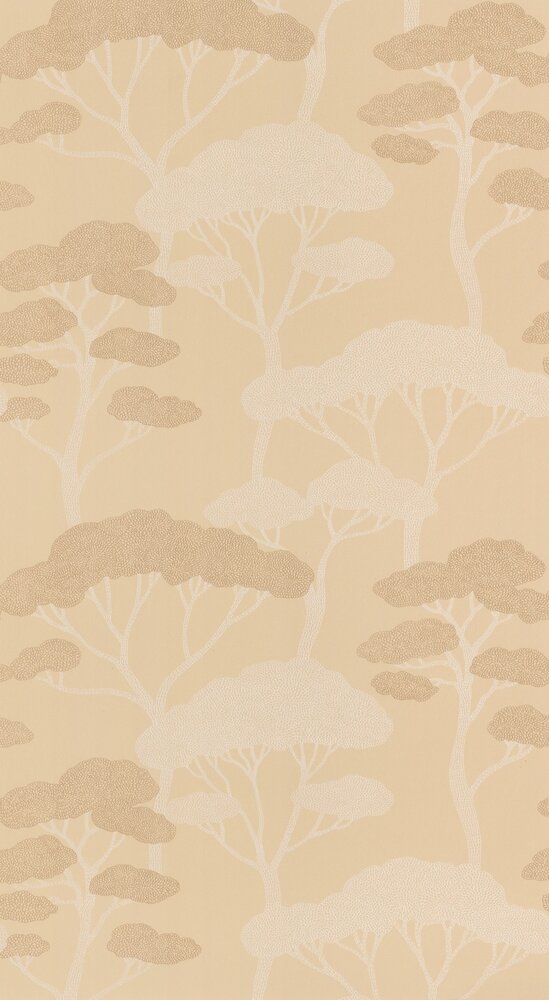 Caselio Light LIG106621017