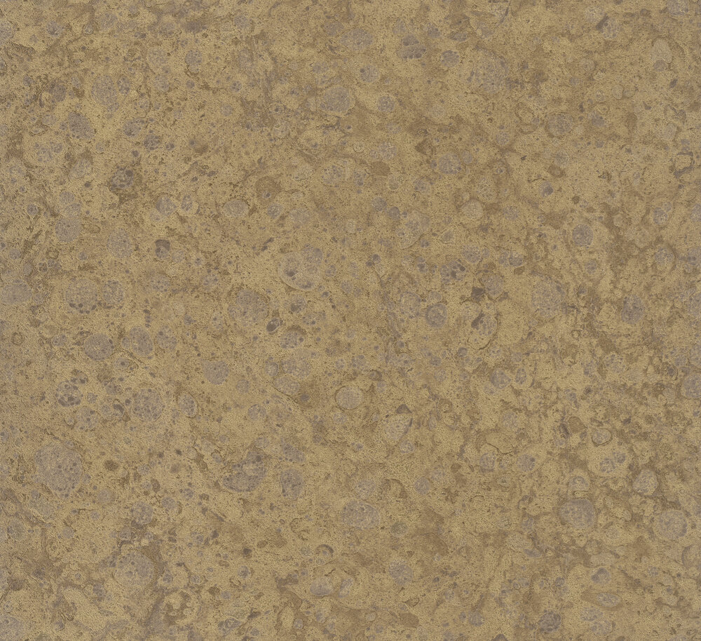 HookedOnWalls Material Matters (incl. Gratis Lijm*) 24730 Goud