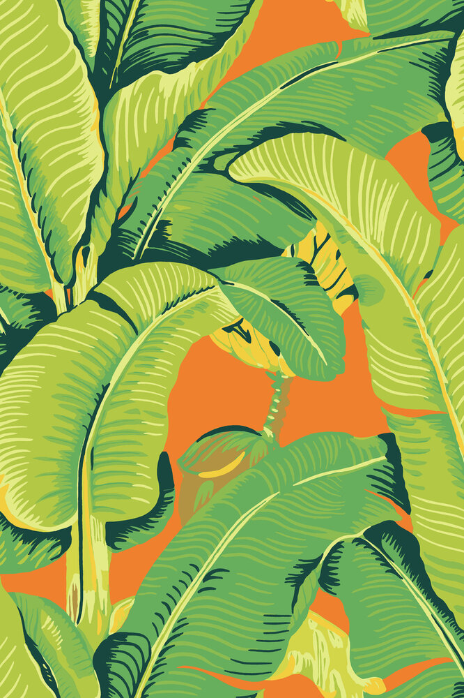 HookedOnWalls Scalamandre (incl. Gratis Lijm*) JV26012 Groen / Oranje