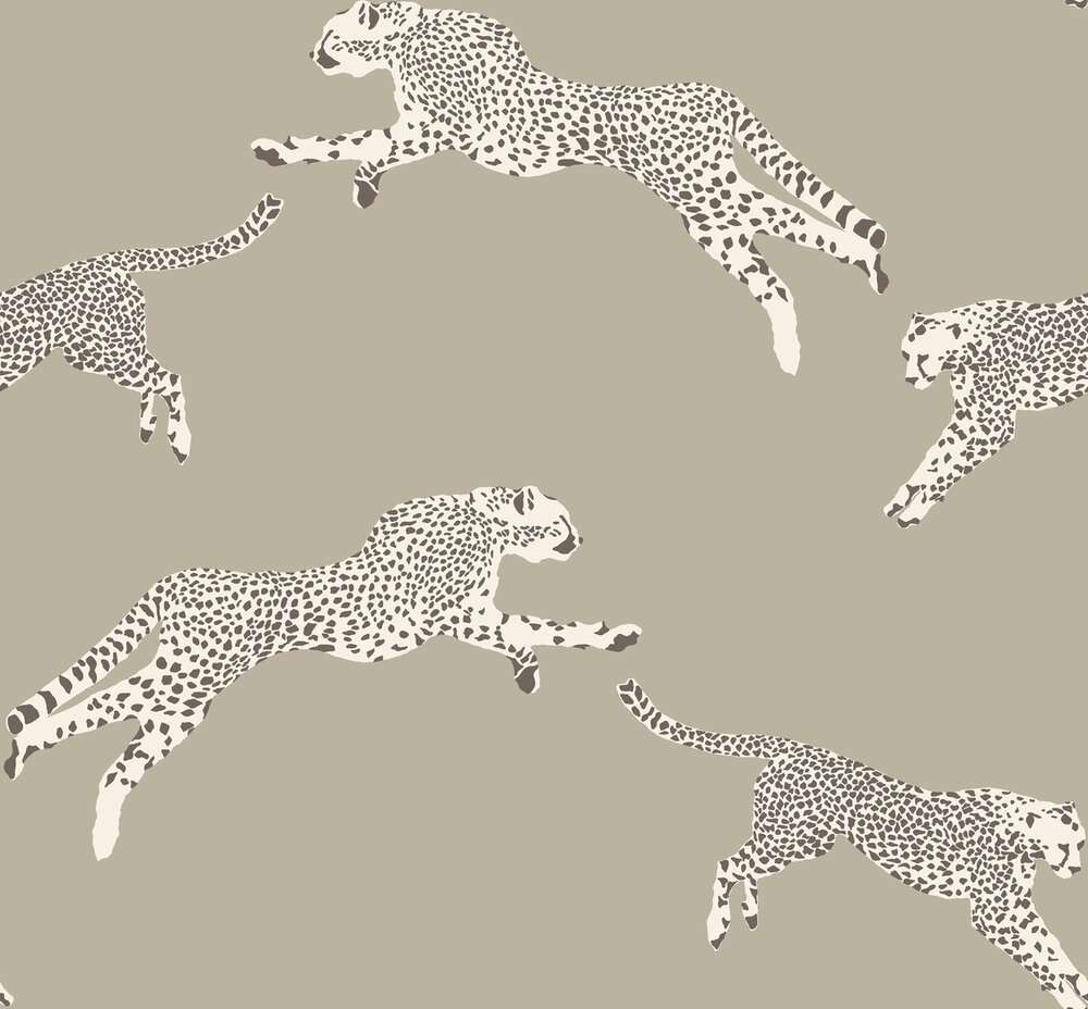 HookedOnWalls Scalamandre (incl. Gratis Lijm*) JV26021 Taupe / Grijs