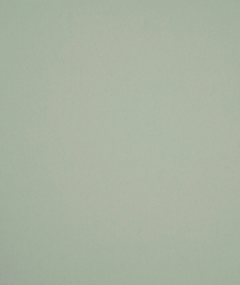 HookedOnWalls Young Traditionals (incl. Gratis Lijm*) 27853 Groen