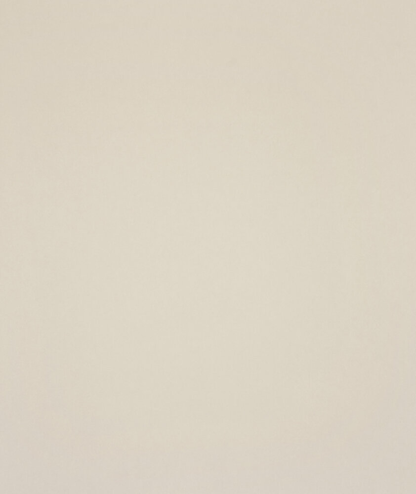 HookedOnWalls Young Traditionals (incl. Gratis Lijm*) 27854 Roze