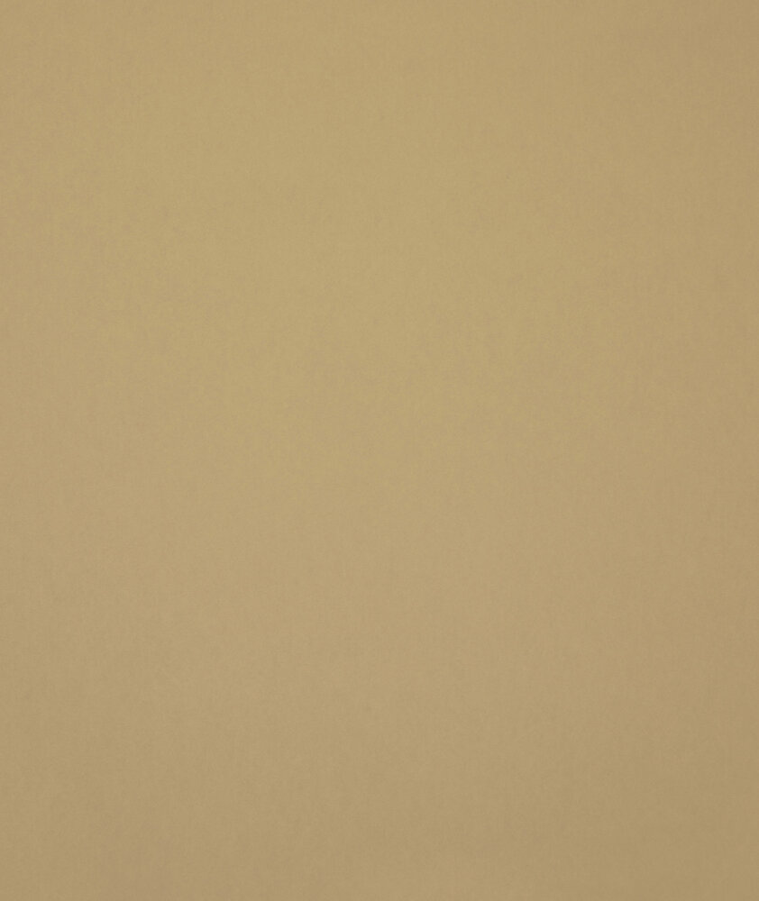 HookedOnWalls Young Traditionals (incl. Gratis Lijm*) 27850 Beige