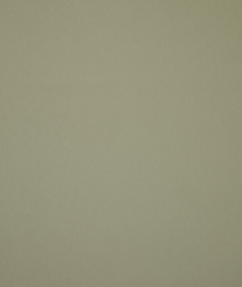 HookedOnWalls Young Traditionals (incl. Gratis Lijm*) 27851 Groen