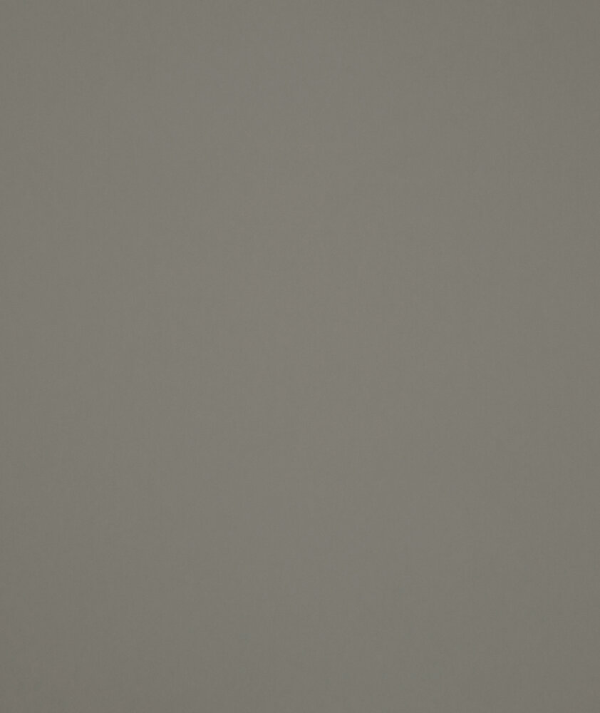 HookedOnWalls Young Traditionals (incl. Gratis Lijm*) 27852 Grijs