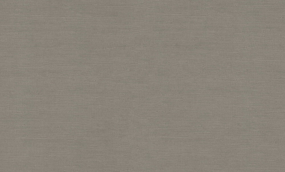 Dutch First Class Voyage (incl. Gratis Lijm*) DB73745 Taupe