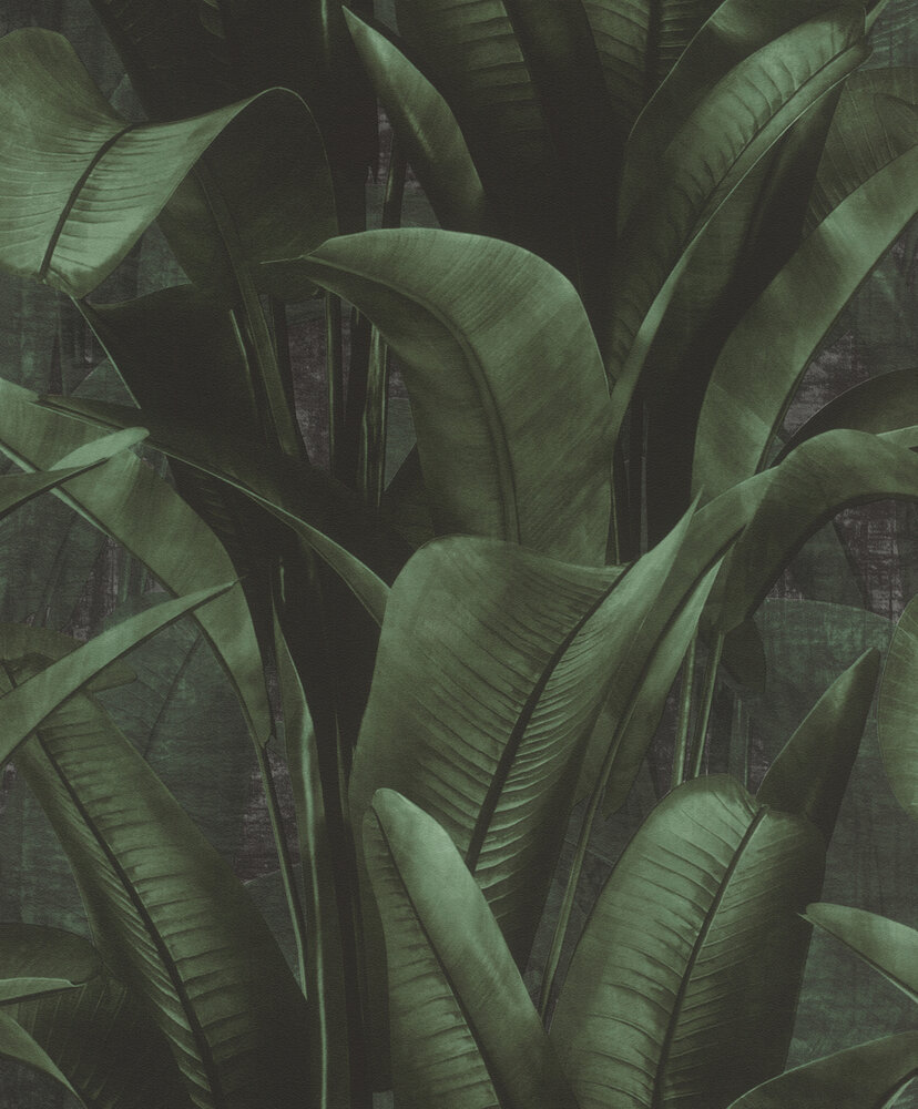 Rasch Back to Nature 416237 - Groen / Zwart