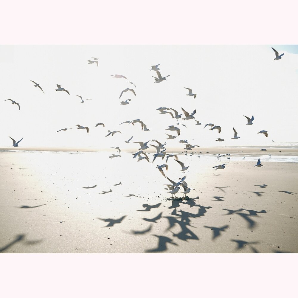 Casadeco Seaside (incl. Gratis Lijm*) SEAS201531011 - Beige
