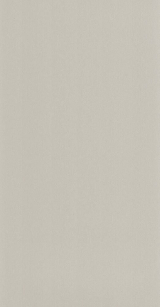 Casadeco Moulures &amp; Co (incl. Gratis Lijm*) MOCO200339229 - Grijs