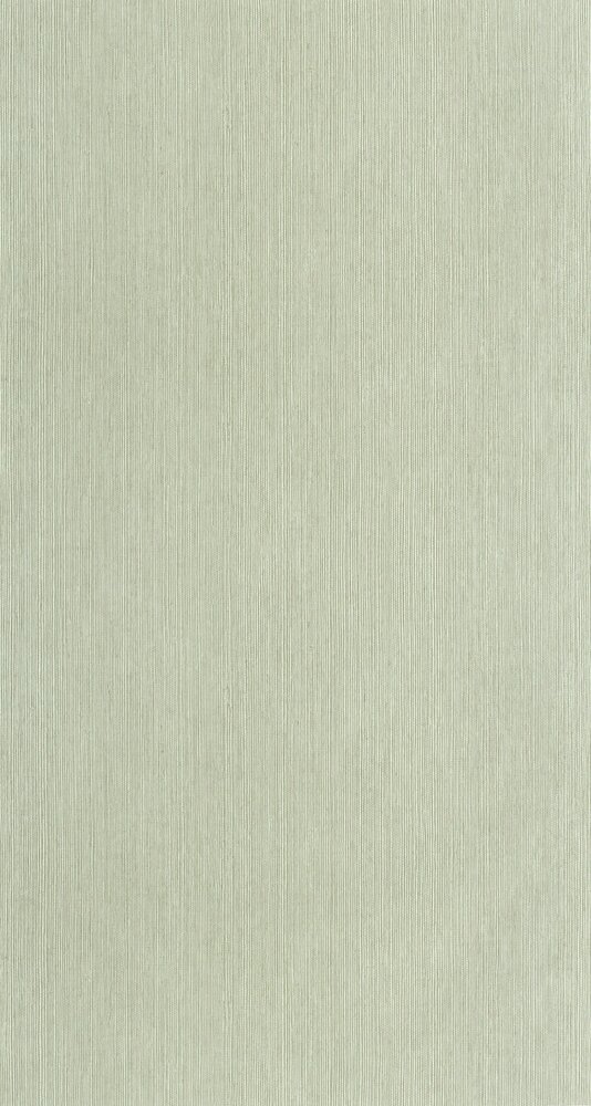 Caselio Borneo (incl. Gratis Lijm*) BORN106017004 - Groen