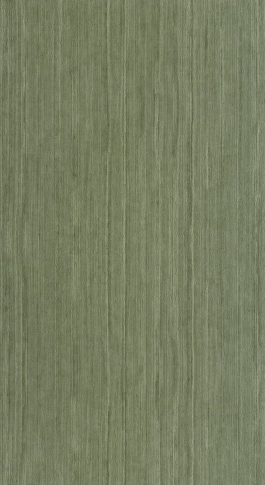 Caselio Borneo (incl. Gratis Lijm*) BORN106017230 - Groen