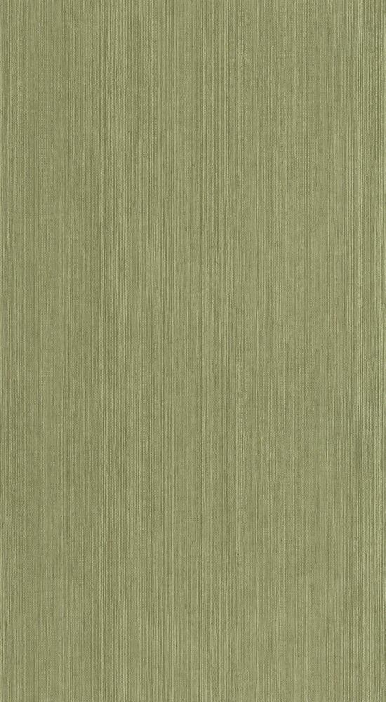 Caselio Borneo (incl. Gratis Lijm*) BORN106017450 - Groen