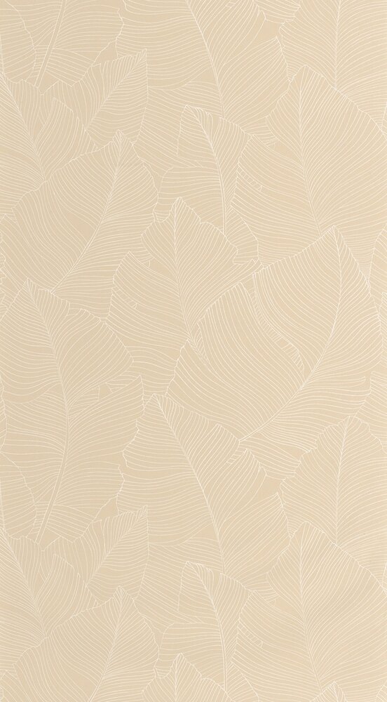 Caselio Borneo (incl. Gratis Lijm*) BORN106500010 - Beige