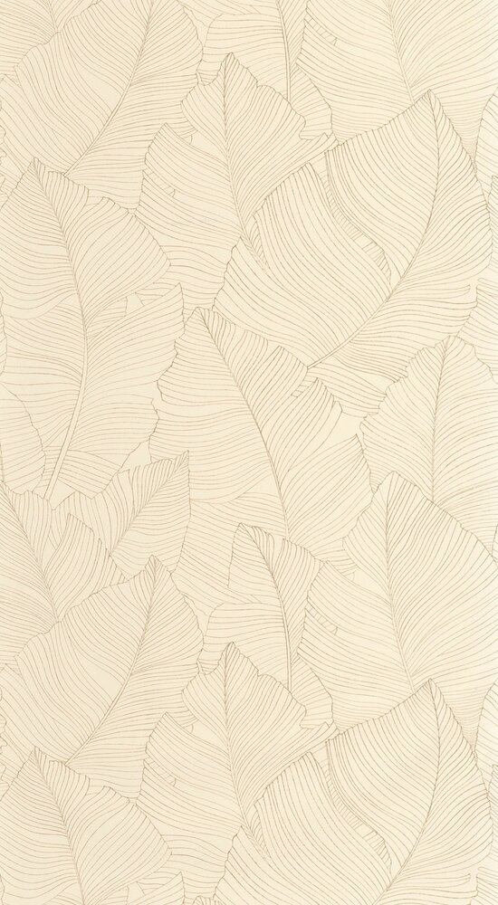 Caselio Borneo (incl. Gratis Lijm*) BORN106502017 - Beige