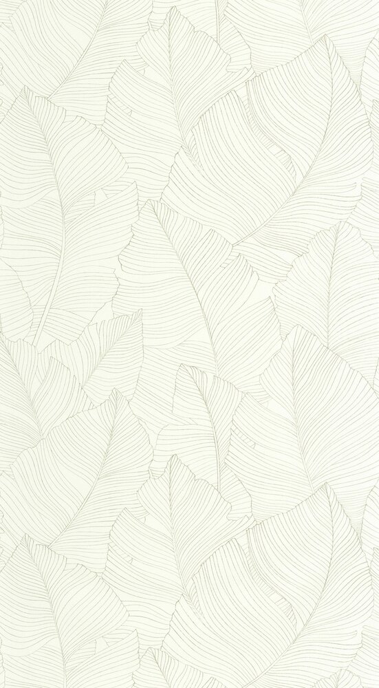 Caselio Borneo (incl. Gratis Lijm*) BORN106507050 - Groen