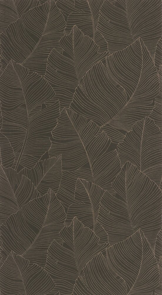 Caselio Borneo (incl. Gratis Lijm*) BORN106509027 - Bruin