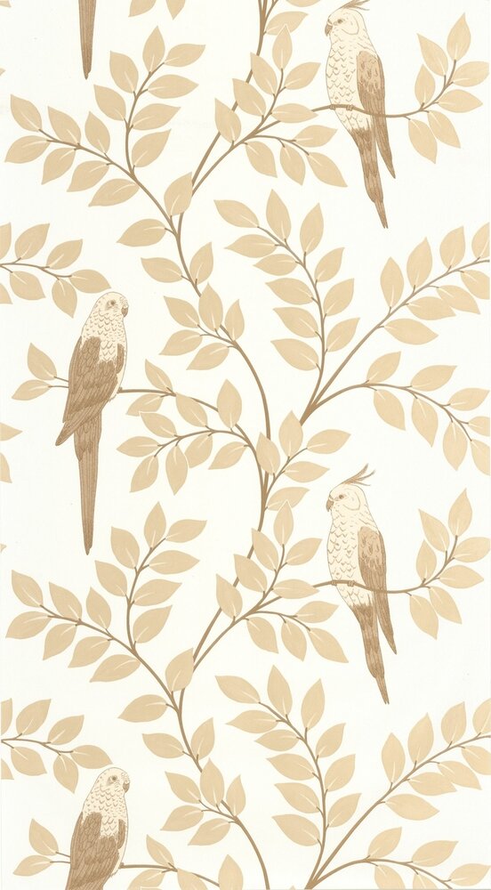 Caselio Borneo (incl. Gratis Lijm*) BORN106521000 - Beige