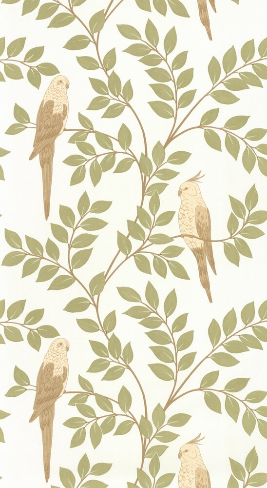 Caselio Borneo (incl. Gratis Lijm*) BORN106527070 - Groen