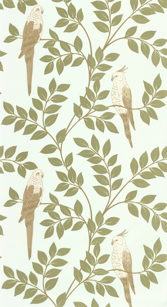 Caselio Borneo (incl. Gratis Lijm*) BORN106527162 - Groen