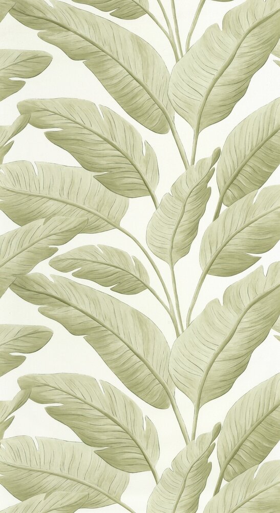 Caselio Borneo (incl. Gratis Lijm*) BORN106547003 - Groen