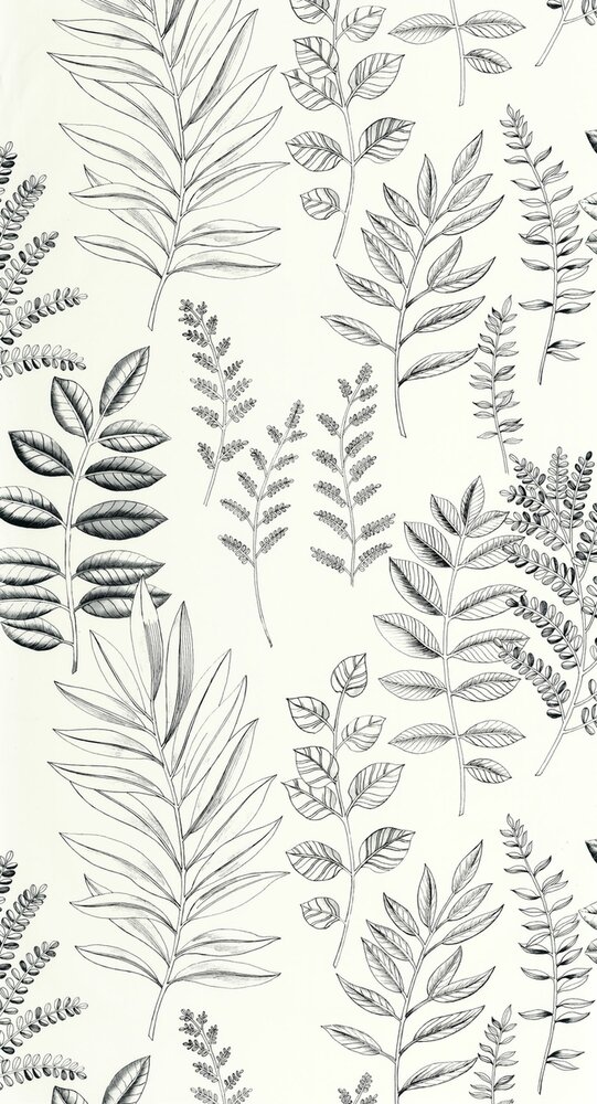 Caselio Art of Botany (incl. Gratis Lijm*) AOB106660990 - Zwart