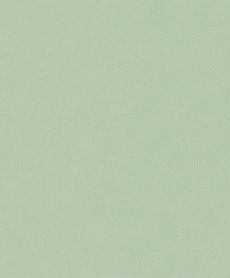 HookedOnWalls Passe Partout 2026 Colour Vibes (incl. Gratis Lijm*) 29805