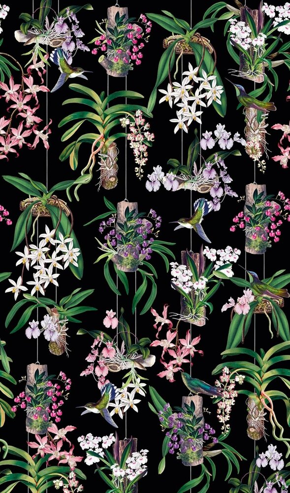 Noordwand Mona 81682 - Zwart / Roze