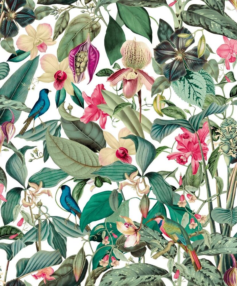 Noordwand Mona 81686 - Wit / Groen