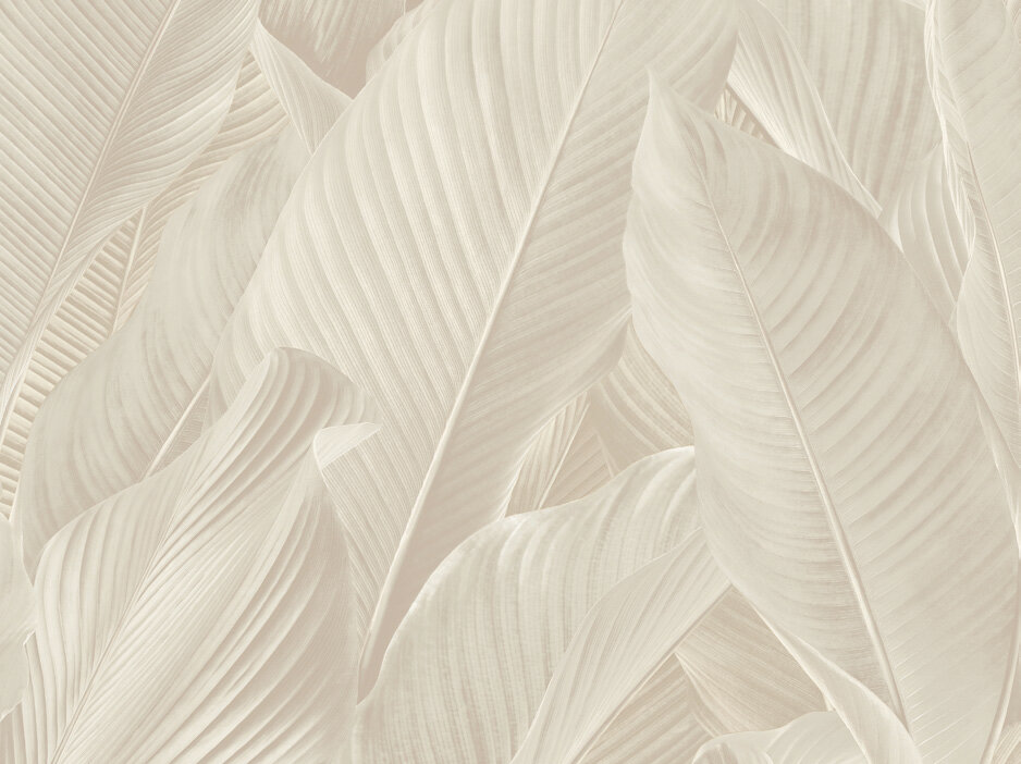 Dutch First Class Tahiti Banya 13302FC Creme