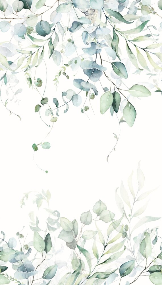 Rasch Kids World II 364859