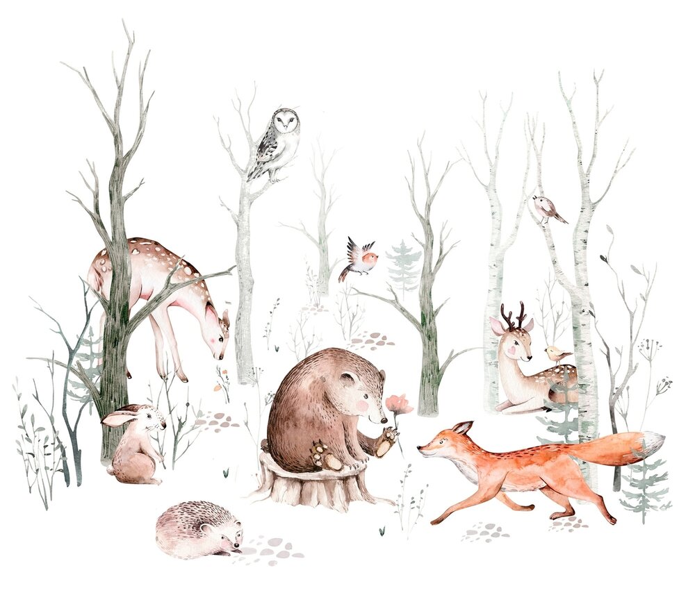 Rasch Kids World II 364903