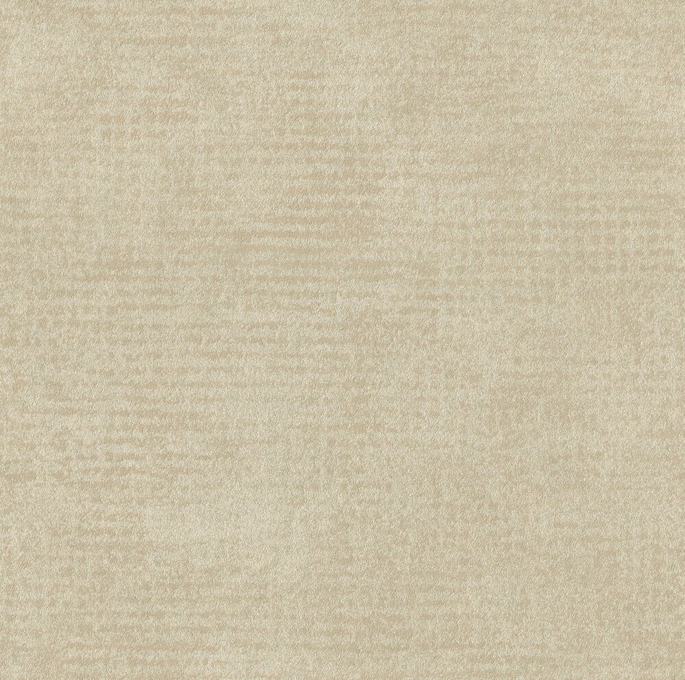 Arte Edition ED2019  (incl. Gratis Lijm*)