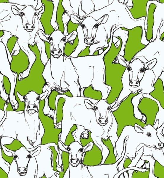 HookedOnWalls Marimekko Volume 05 23366  (incl. Gratis Lijm*)