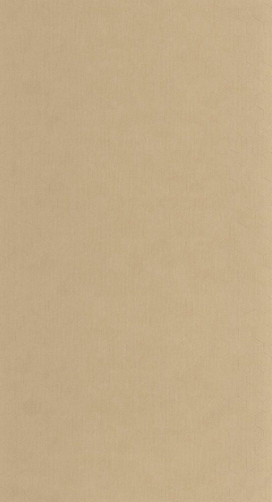Casadeco Solaris SOLA201911860 (incl. Gratis Lijm*) Beige