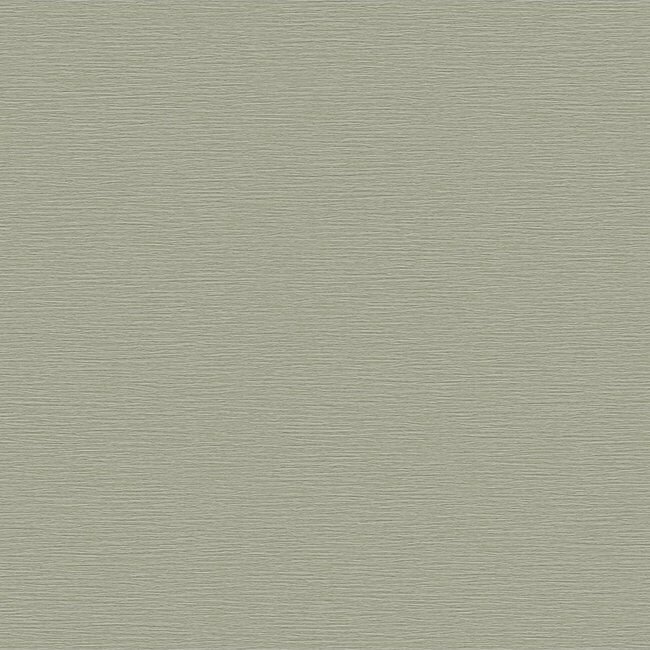 Dutch Wallcoverings Beaux arts 2  BA220074