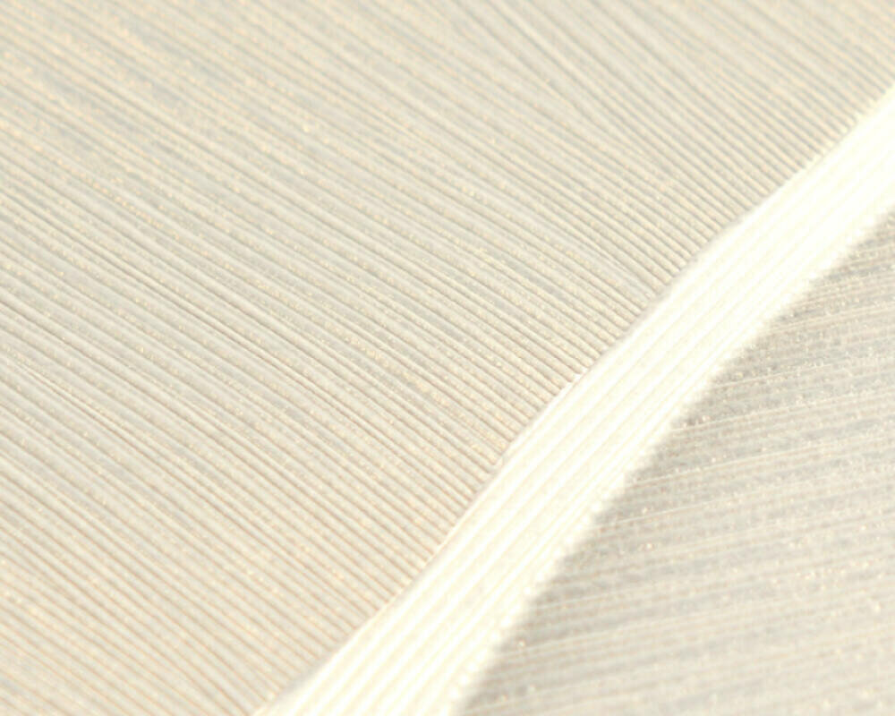 AS Creation Vibes &amp; Styles 79039-5 Cr&egrave;me