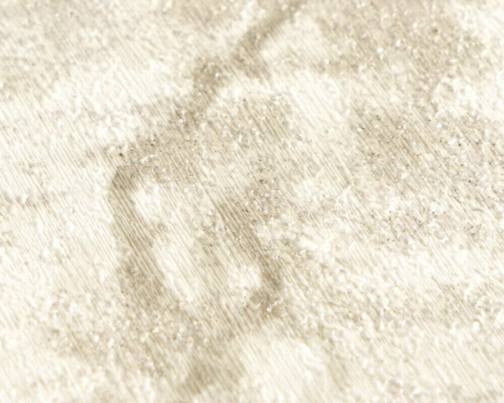 AS Creation Vibes &amp; Styles 79200-3 Beige