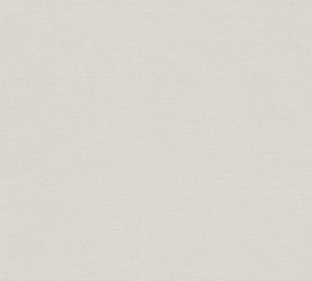 AS Creation PintWalls III 38903-2 Grijs