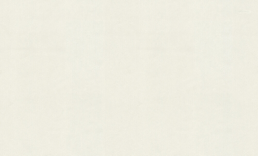 Dutch First Class Blumarine 6 BM31049 (incl. Gratis Lijm*)