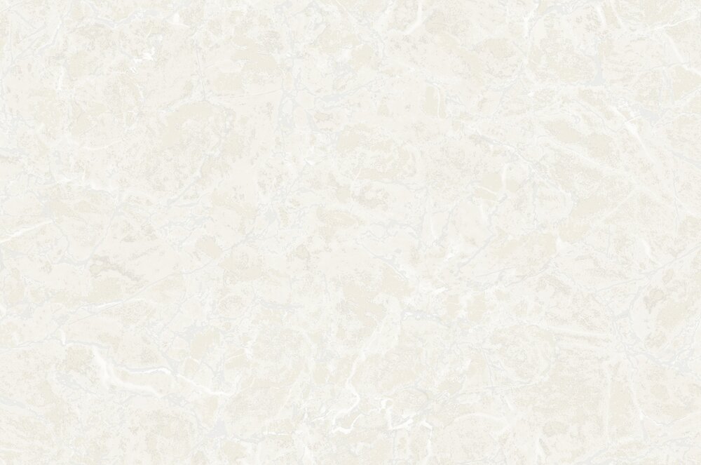 Dutch Wall Decor Philipp Plein 2 Z81006