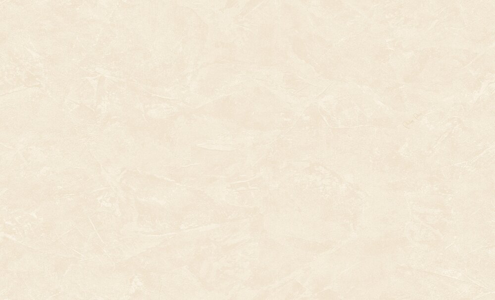 Dutch Wall Decor Philipp Plein 2 Z81011