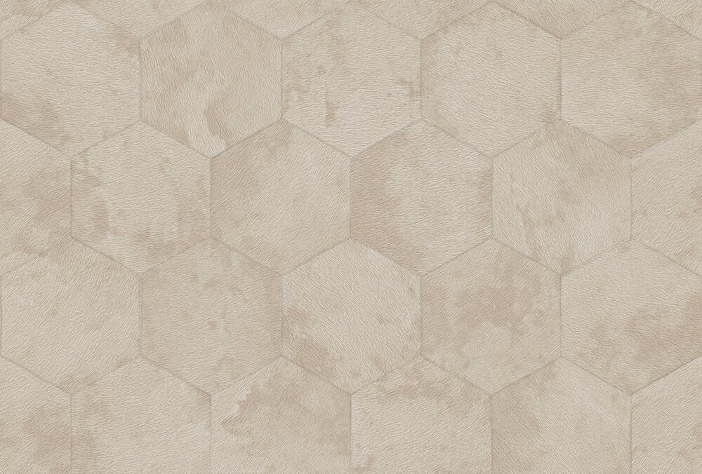 Dutch Wall Decor Philipp Plein 2 Z81023