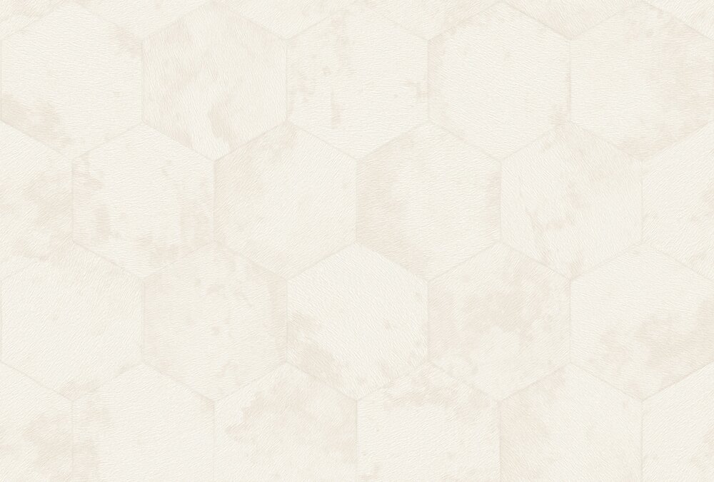 Dutch Wall Decor Philipp Plein 2 Z81026